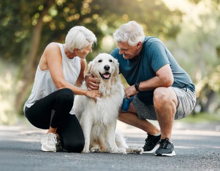 Dog walk, nature and senior couple walking their pet for exercise on a road in Germany together. Happy, calm and healthy elderly man and woman training their animal on a street park in summer.